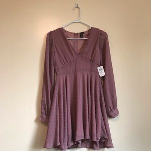 NWT Windsor mauve Swiss dot long sleeve dress